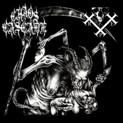 Frequencies of Genocidal Sacrifice