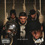 b-tight, fler, tony d, sido feat. frauenarzt