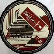 Bass 96/Hands In The Air