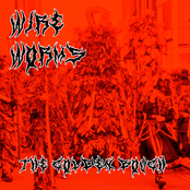 THE GOLDEN BOUGH 2023 DEMO