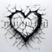 Beautiful Scars