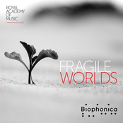 Fragile Worlds