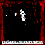The Bellowing Echoes of Absurdity