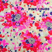 Pinc Louds: Pinc Louds