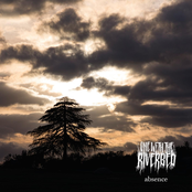 One With the Riverbed: Absence
