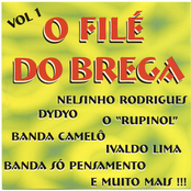O Filé Do Brega Vol. 1