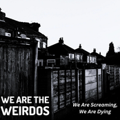 We Are Screaming, We Are Dying - Single