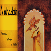 Masked, Winged, and Hidden