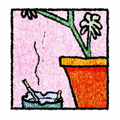 Gooseberry: Sleep