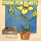 Music For Plants: Sprinkle Them With Music