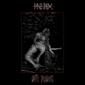 White Shoulders - Single