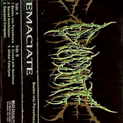 BEATEN INTO PARESTHESIA - EP