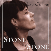 Stone By Stone by Lui Collins