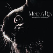 Senses On Fire by Mercury Rev