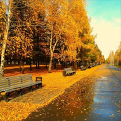 I'm Sorry About Last Summer