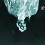 Kelcey Ayer: No Sleep