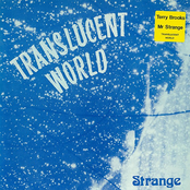 Translucent World