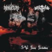 Si Vis Pacem Parabellum