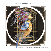 Birdman by The Brute Chorus