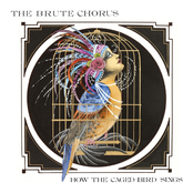 Heaven by The Brute Chorus