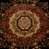 Demo February / March 2011