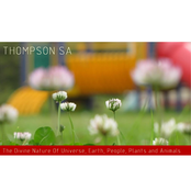 The Divine Nature Of Universe, Earth, People, Plants and Animals.