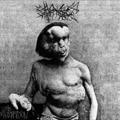 The Malformation