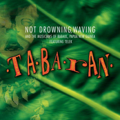 Tabaran by Not Drowning, Waving