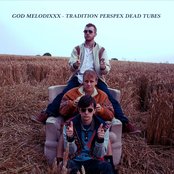 Tradition Perspex Dead Tubes