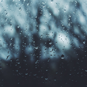 Soft Rain Sounds
