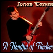 A Handful of Flinders