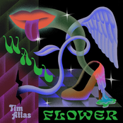 Tim Atlas: Wallflower