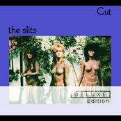 Vindictive by The Slits