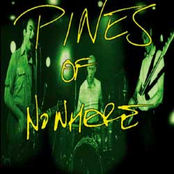 pines of nowhere