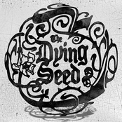 the dying seed