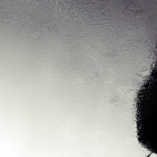 La Frecuencia Plastica