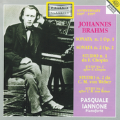 Pasquale Iannone: Johannes Brahms