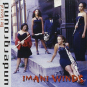 Imani Winds: The Classical Underground