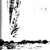 Live at The Workhouse Festival 2005