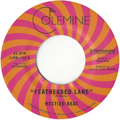 Mestizo Beat: Featherbed Lane