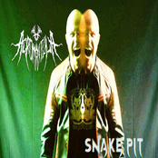 Snake Pit