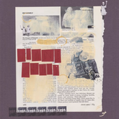 Diane Arbus (Diane Arbus)