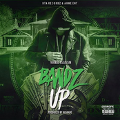 Bandz Up