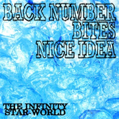 BACK NUMBER BITES NICE IDEA