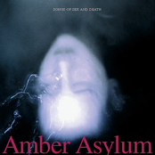 Everything You Touch by Amber Asylum