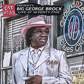 Bring The Blues Back Home by Big George Brock