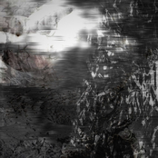 Dualities of the Way