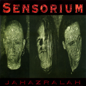 sensorium