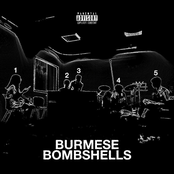 Burmese Bombshells