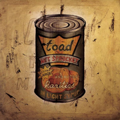 Toad The Wet Sprocket: In Light Syrup